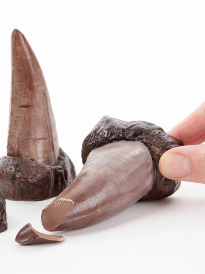 Chocolate T-Rex dinosaur tooth