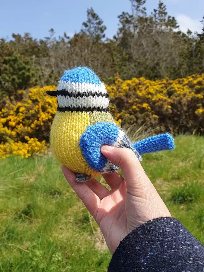 knitted blue tit knitting kit