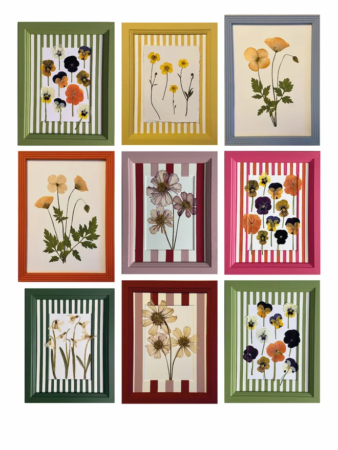 nine different coloured frames with different pressed flowers