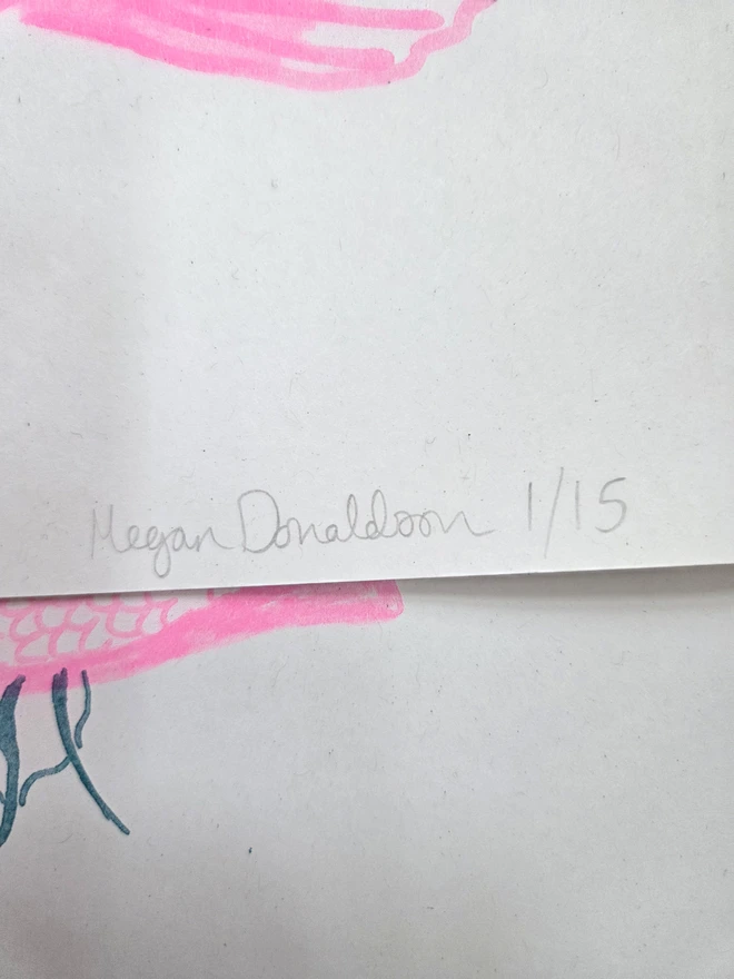 signature and edition mark of pink and blue risograph print of 3 fish and seaweed