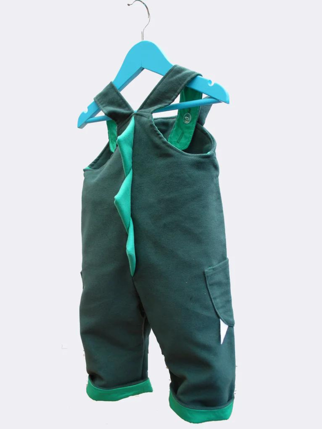 kids' green dragon dungarees back