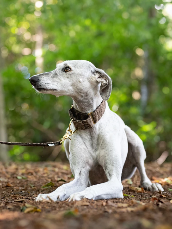 Pumpernickel Herringbone Tweed Martingale Collar