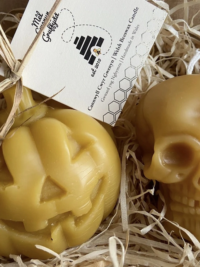 Halloween Gift Set Scary Pumpkin & Skull Beeswax Candle Set