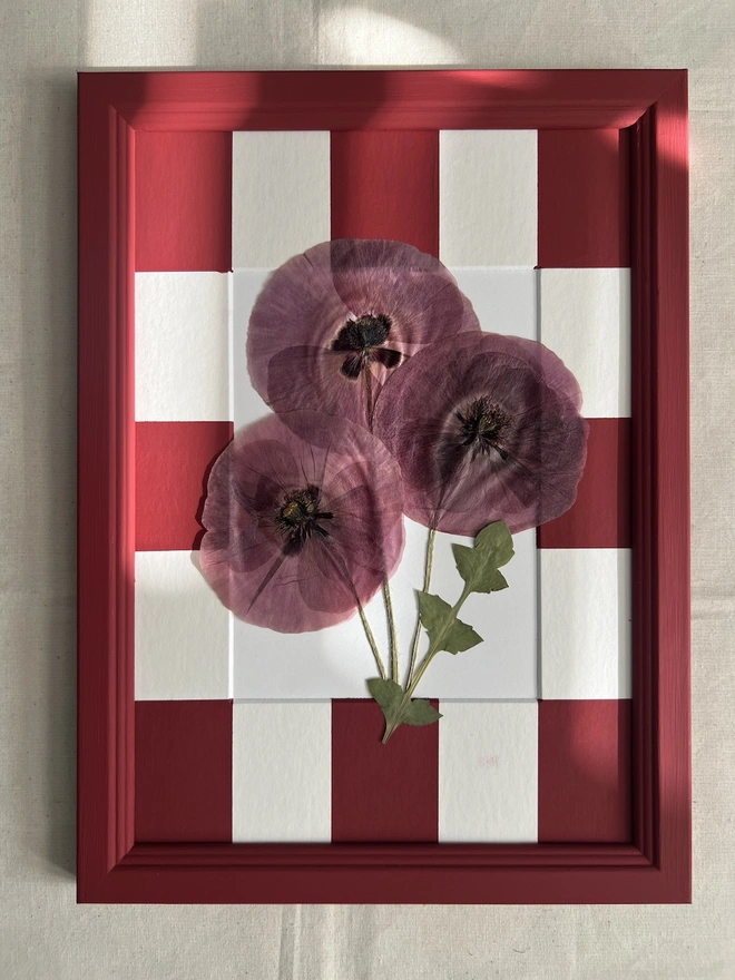 pressed poppy flowers in hand painted red frame