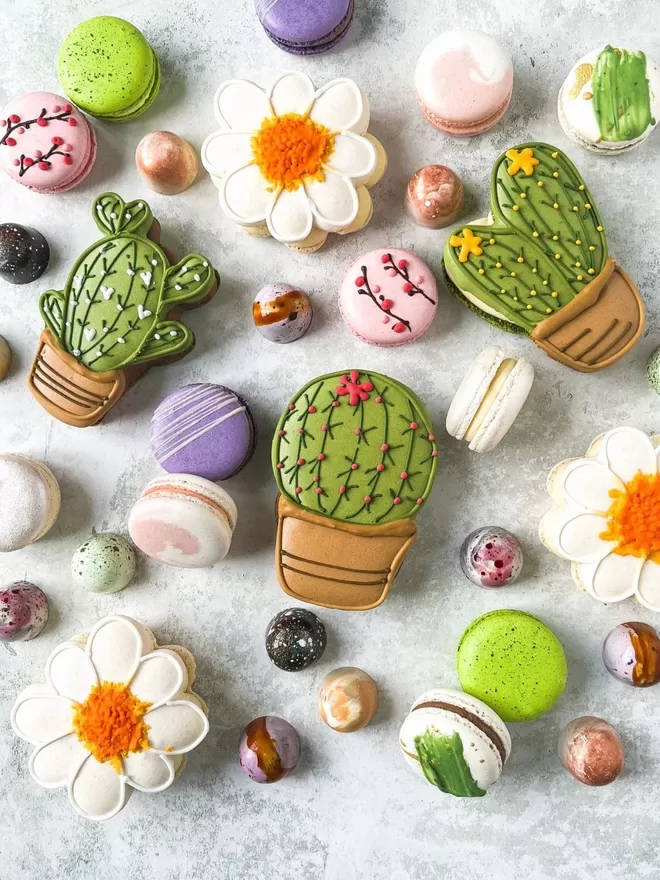 several colourful macarons with cactus & daisy shaped macarons and colourful chocolate bon bons on a table