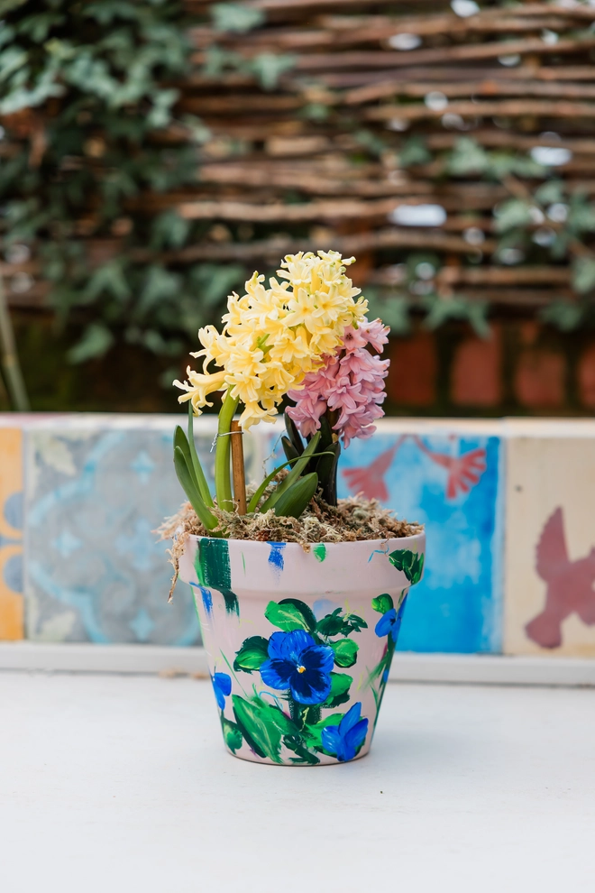 Hand painted floral terracotta plant pot natural stone background adorned in vibrant blue blotch pansy flowers