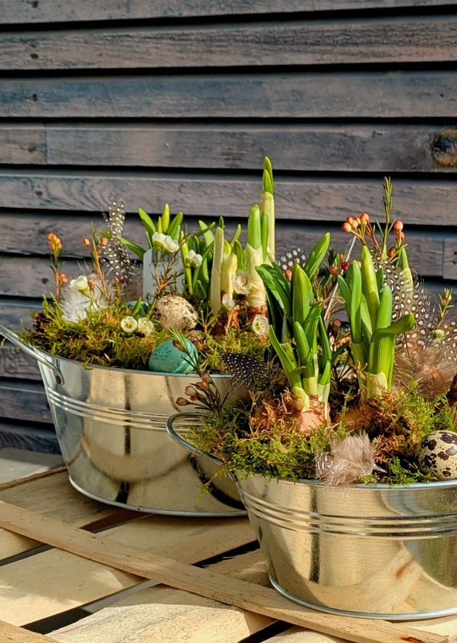 zinc planter with spring bulbs decorated with quails eggs, feathers, pine cones and white wax flowers - zinc planter shown in two sizes 24cm and 18cm