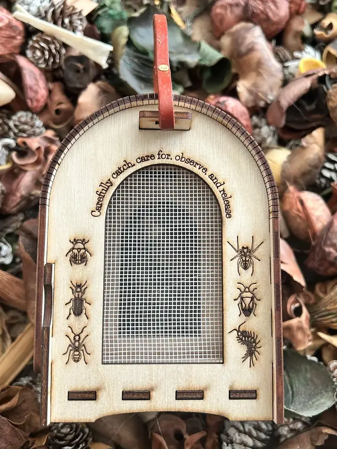 Wooden bug hotel for kids with engraved insect illustrations, mesh viewing window, and leather carry handle, displayed among pinecones and forest floor materials. 
