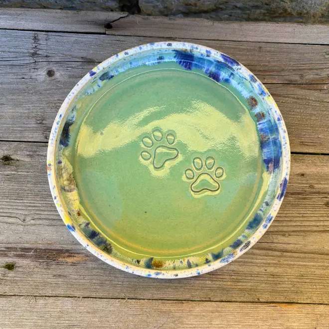 Shoreline Cat Bowl, a colourful cat bowl placed on a wooden surface. 