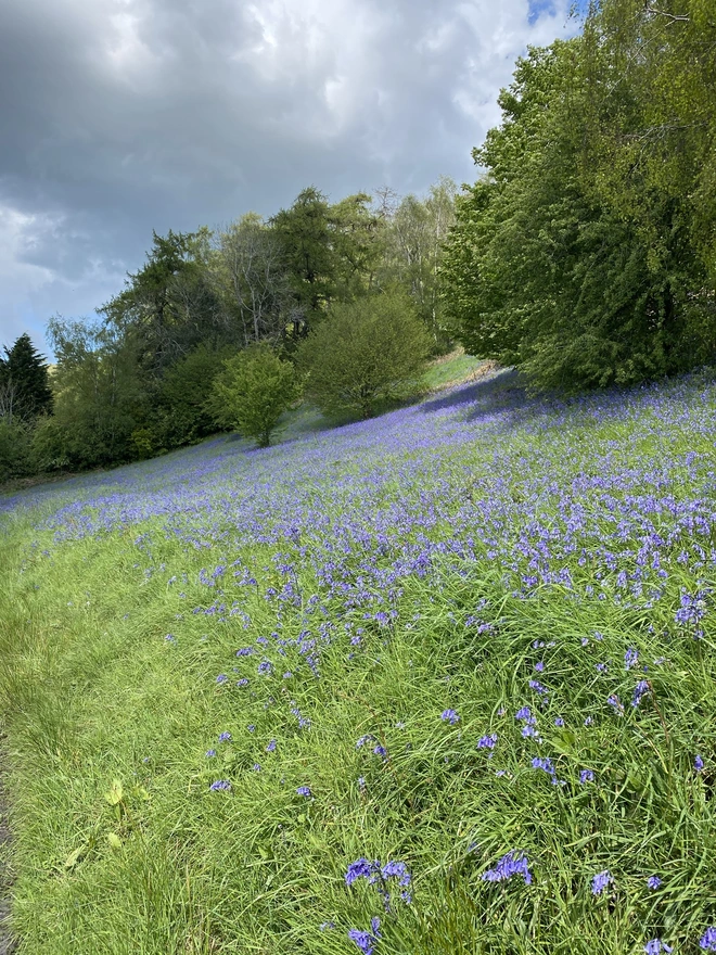 Maunder in the Malverns
