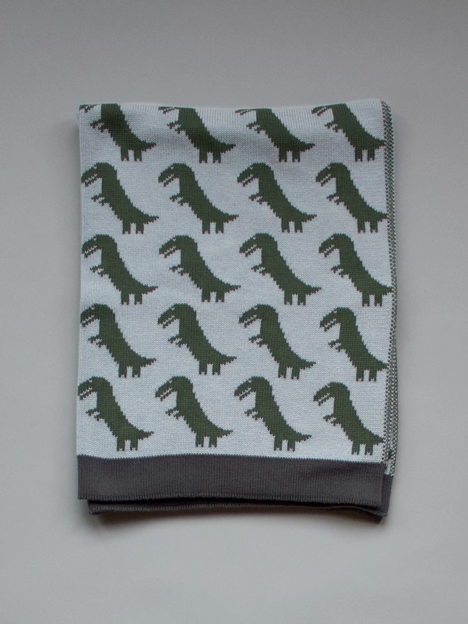 Dinosaur Blanket