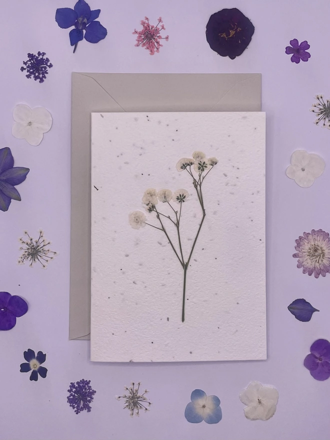 Real Pressed Flower Plantable Card, White Gypsophila