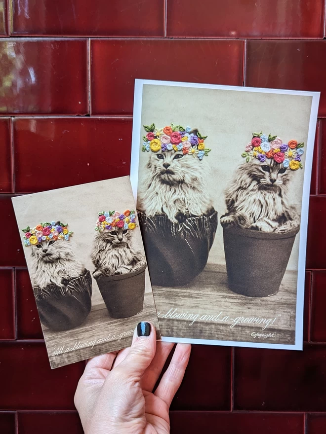 B&W photo and print version of 2 kittens in flower pot with coloured embroidered flower crown