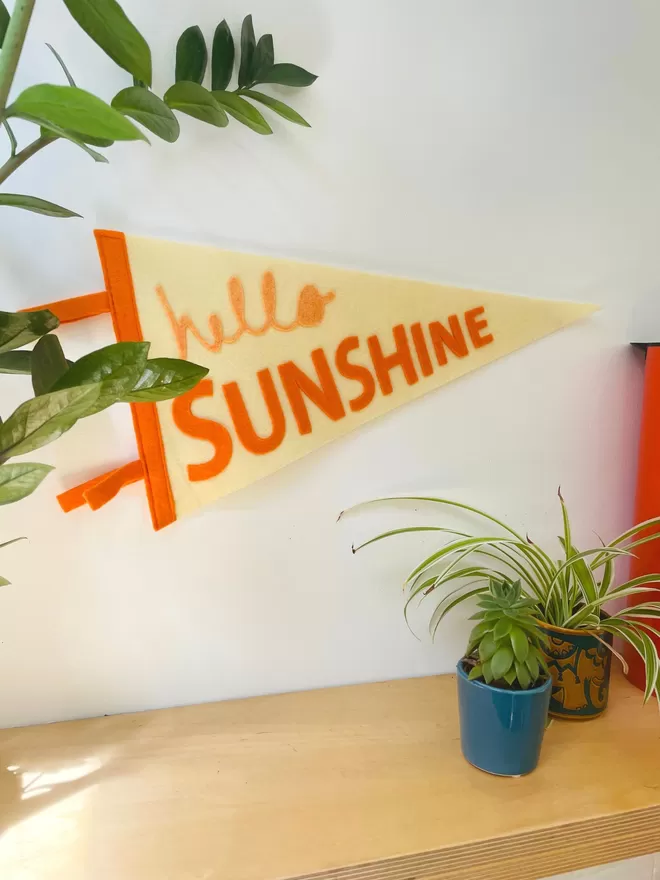 Hello Sunshine Pennant Flag being displayed on a wall.