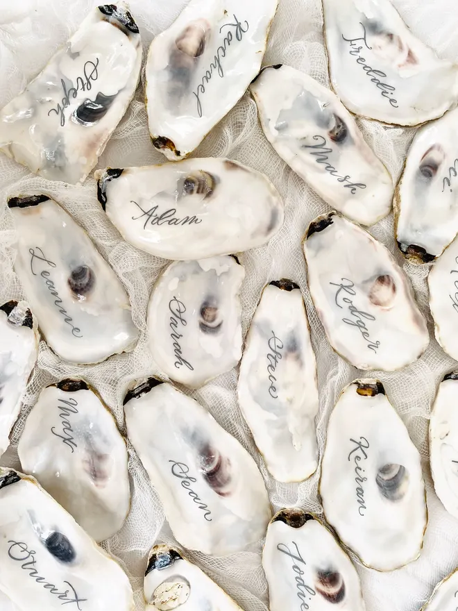 white oyster shell place names handwritten in ink