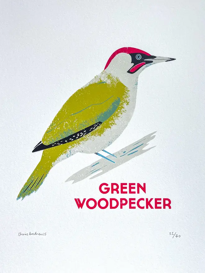 illustrated green woodpecker print