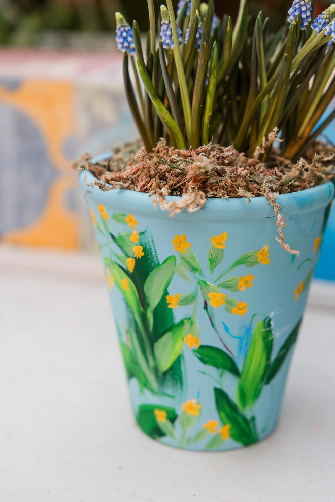 Hand painted floral terracotta plant pot pale blue background adorned in yellow British wild cowslip flowers