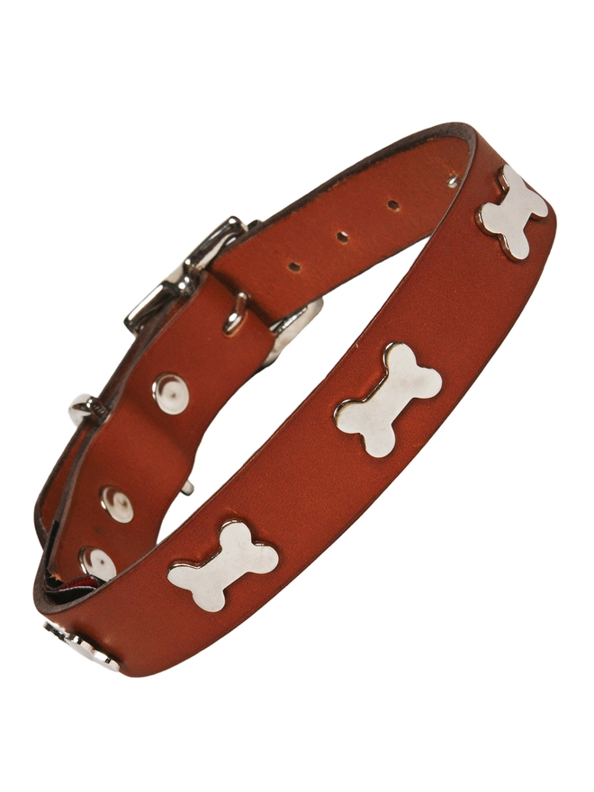 Creature Clothes Tan Leather Dog Collar with Silver Bone Studs