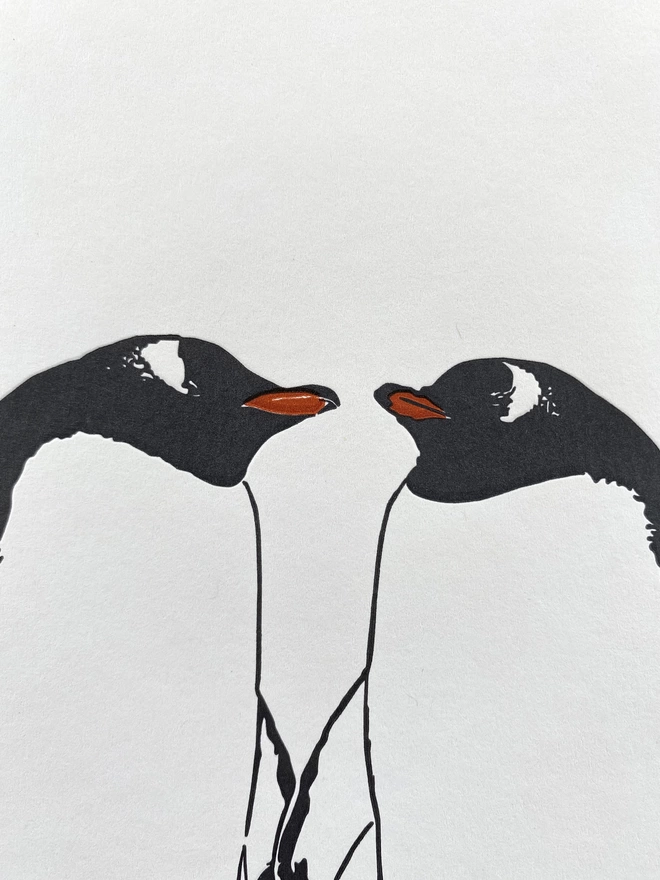 Close up of the two penguins faces and beaks