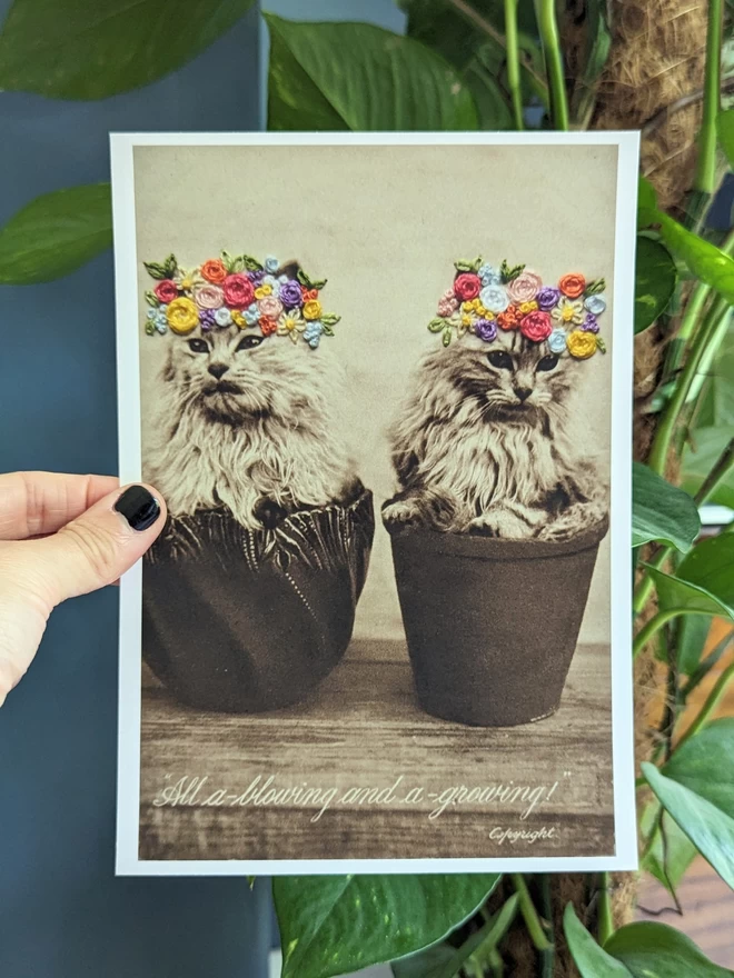  B&W photo print  of 2 kittens in flower pot with coloured embroidered flower crown