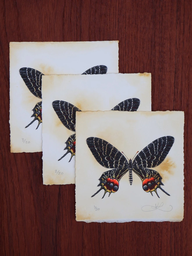 Limited Edition Screenprint artwork of a Bhutan Glory Butterfly by artists and designer Kath Leone