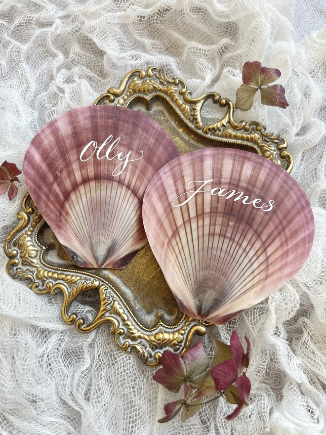 scallop shell place cards