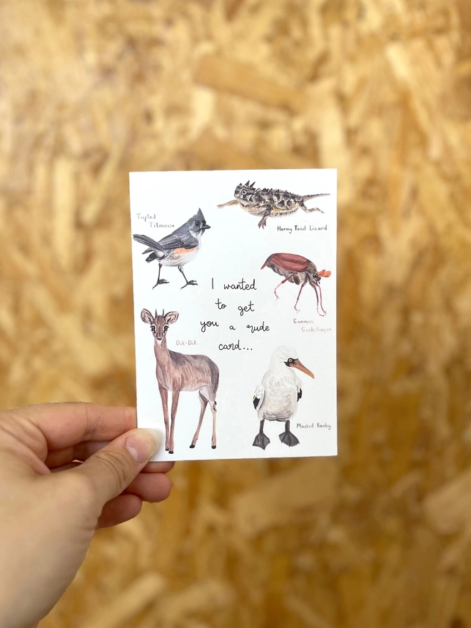 a greetings card featuring animals with funny names and the phrase “I wanted to get you a rude card”