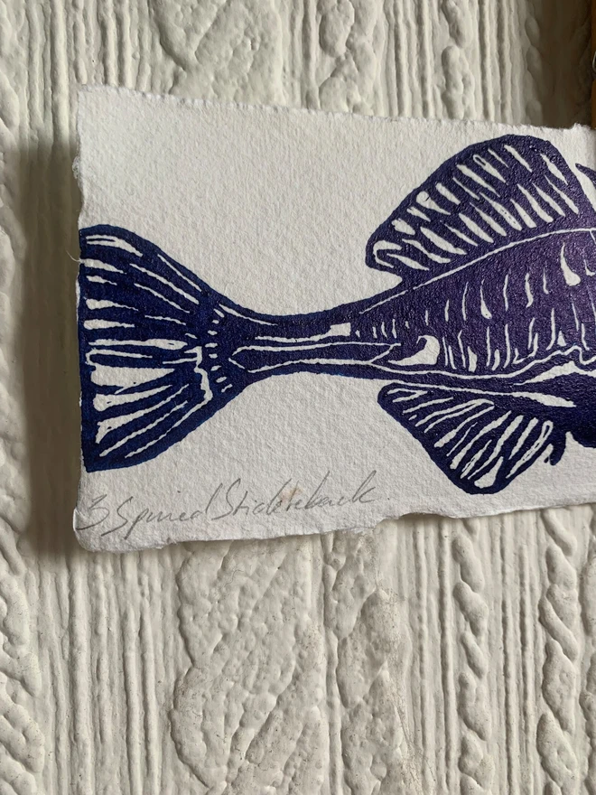 Lino Print Spiked Stickleback Fish On Handmade Paper