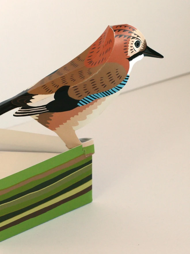 3d jay pop out card