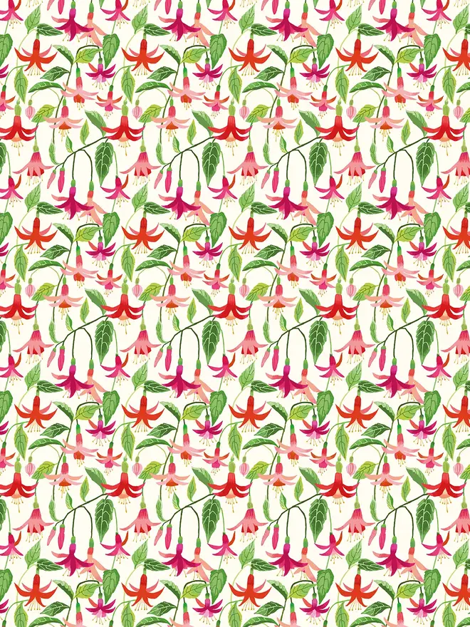 fuchsia flower gift wrap