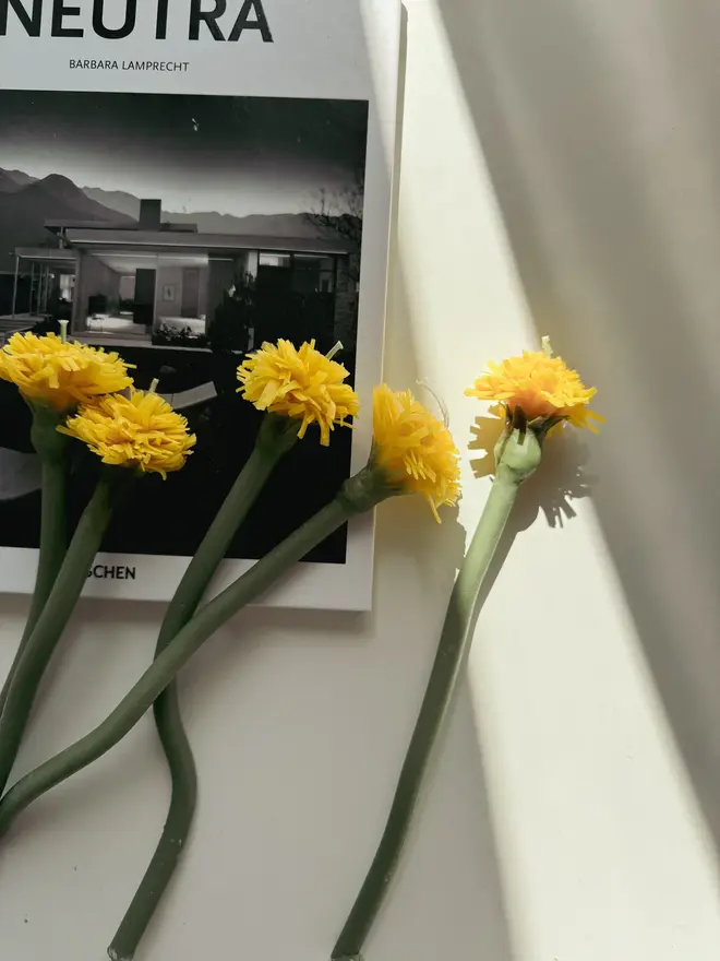 Handcrafted Dandelion Candle