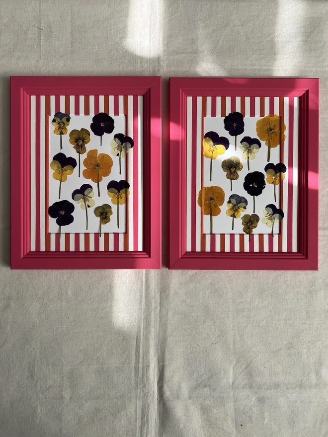 two painted frames with pressed pansy flowers