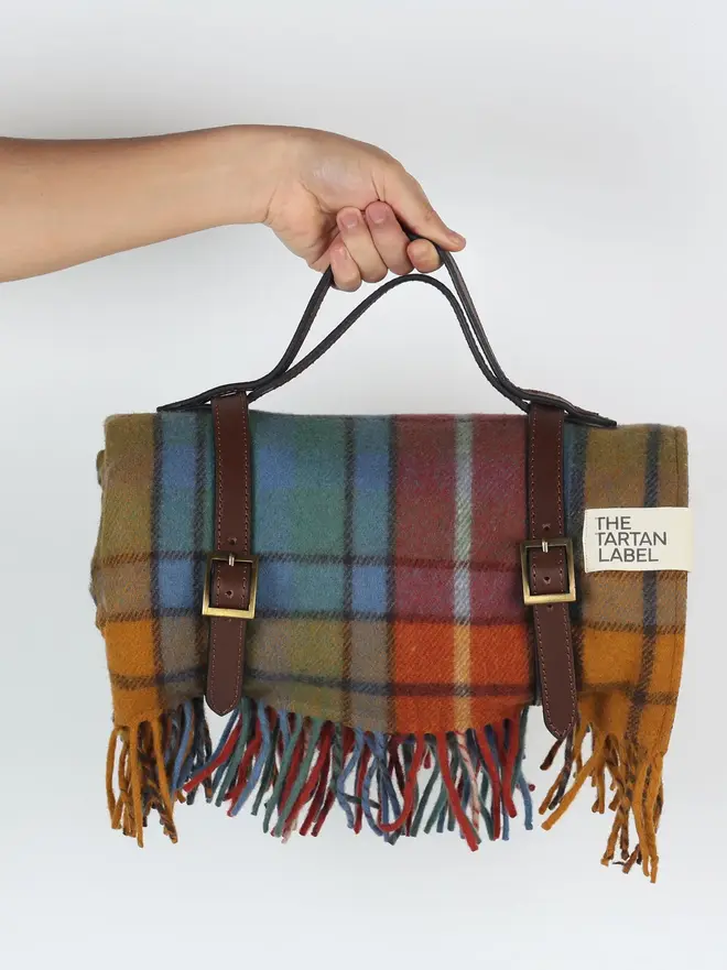Buchanan Antique Picnic Blanket, a person holding a colourful picnic blanket against a white backdrop. 