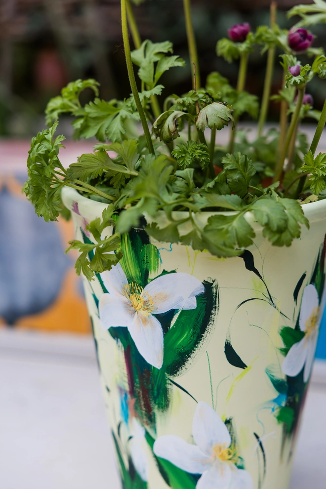 Hand-painted terracotta plant pot featuring white clematis flowers on a pale green background  