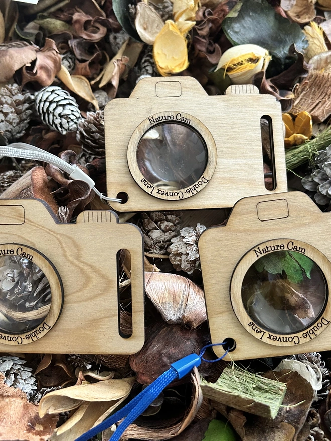 Set of three nature cameras on a woodland floor