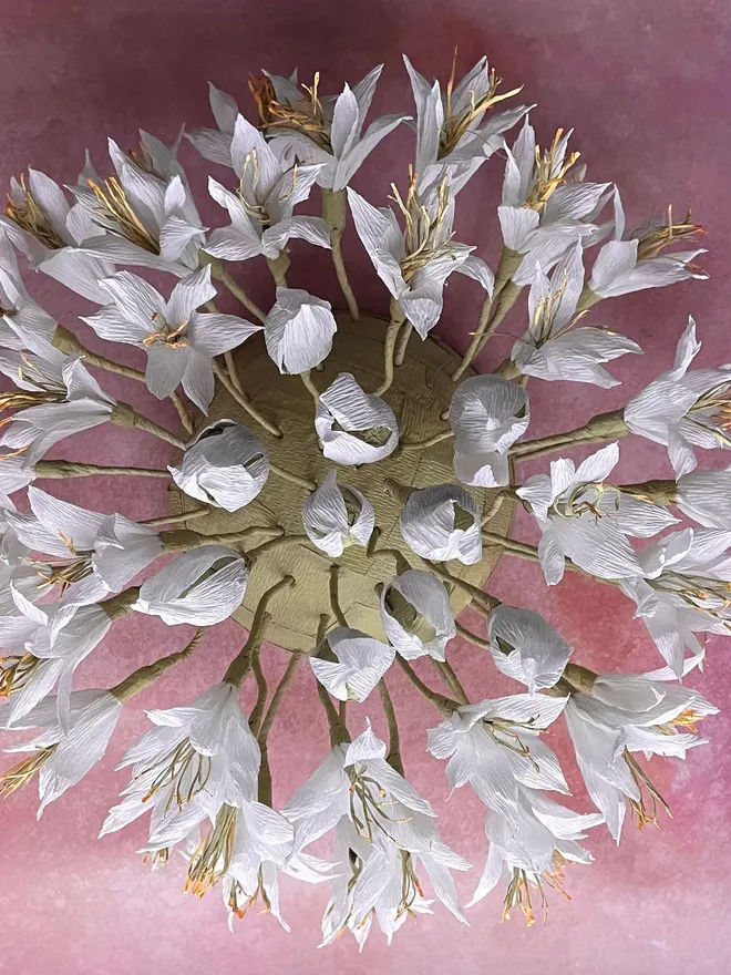Giant White Paper Agapanthus Flower