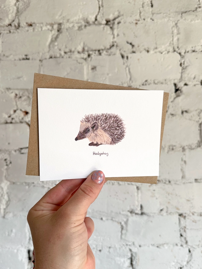 A greetings card featuring an illustrated hedgehog with a brown kraft envelope