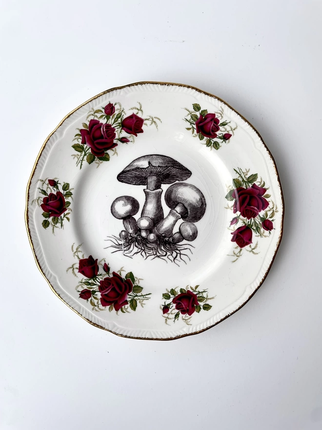 vintage plate with a red rose floral border, with a printed vintage illustration of a mushroom group in the middle 