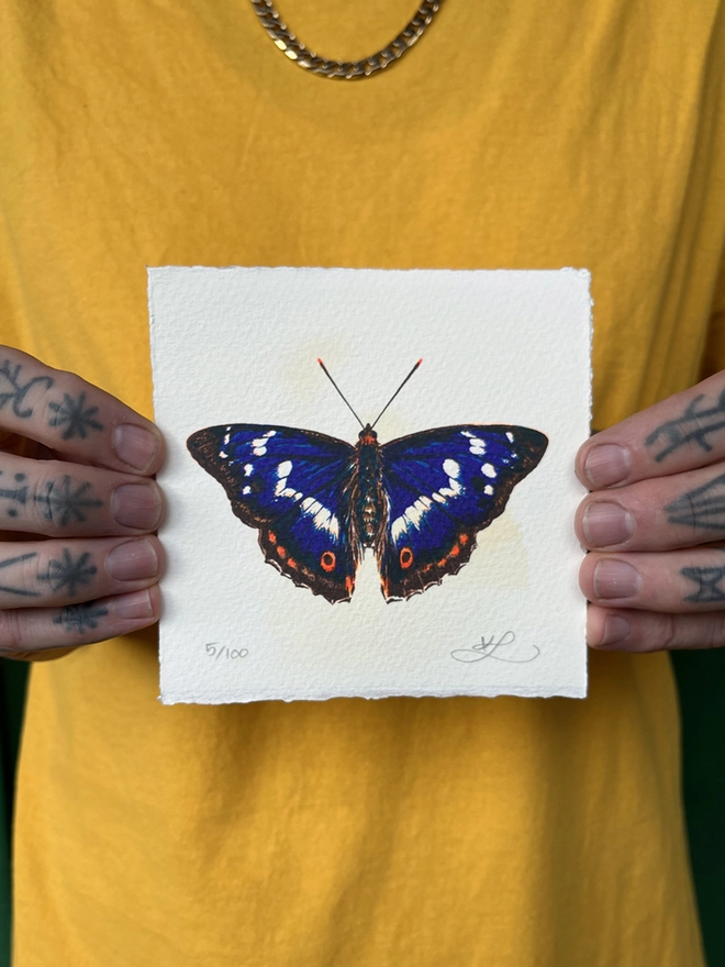 Purple Emperor Butterfly Screenprint