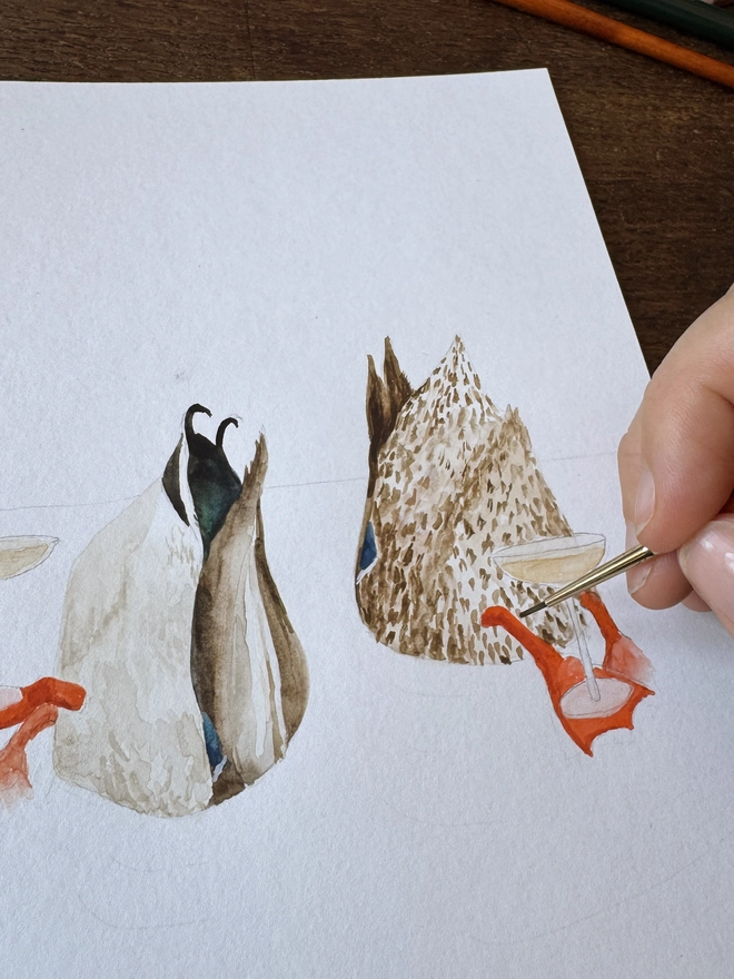 Duck illustration