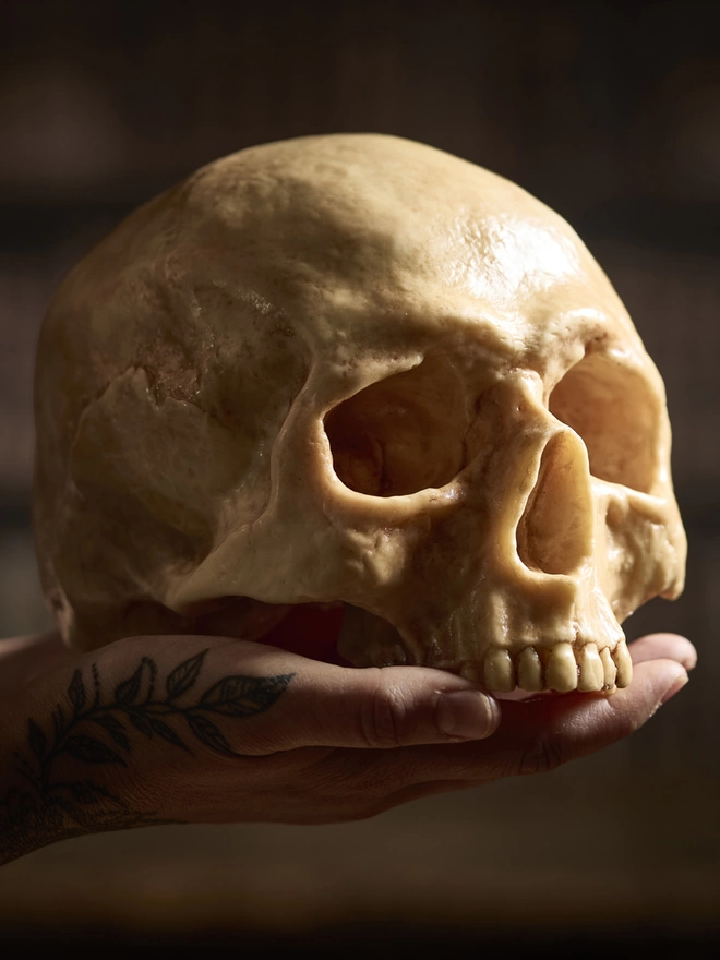 Realistic edible chocolate human skull held in woman's hands