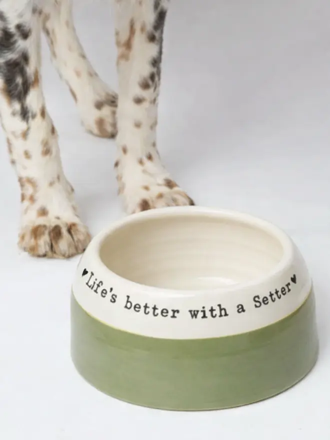 Setter_Basset bowl Mossy Haven