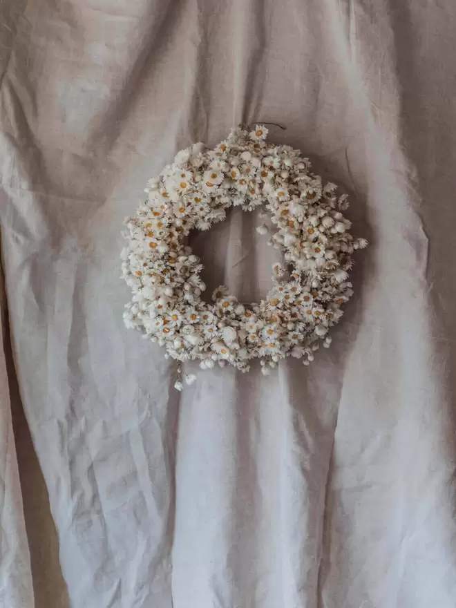 White Daisy Wreath on a Fabric Background. Dried Flowers