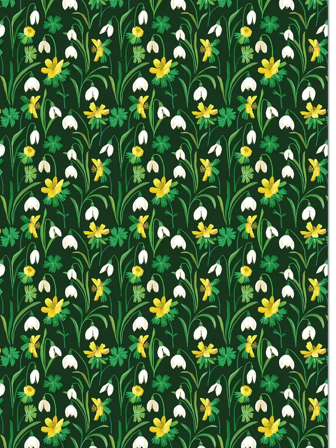snowdrop flower gift wrap