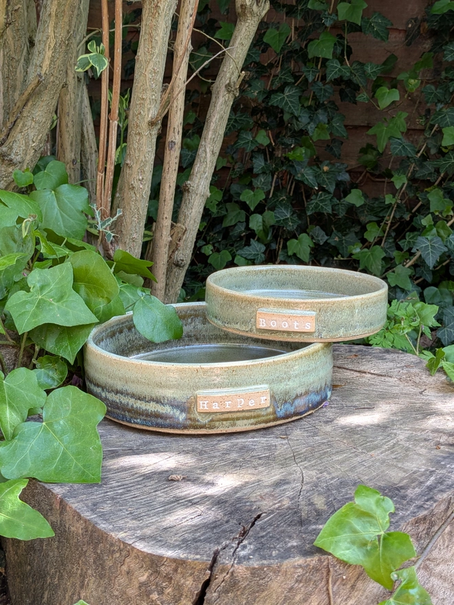 Stoneware Pet Bowl. Please note, due to the reactive nature of the Meadow Green glaze, it can come out with more/less variegated hues of green, and sometimes even blues, depending on factors such as glaze thickness, position in the kiln, and temperature. A truly unique piece of pottery!