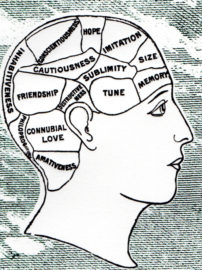 An illustrated profile of a head containing different words such as ‘friendship’, ‘size’, and ‘memory’ in black and white.