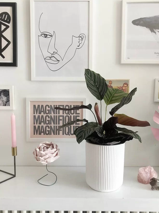 A blush paper flower sitting on a wire stem, on a shelf with a prayer plant in a large white pot beside it. Behind is a wall of lots of pictures and prints in white frames.
