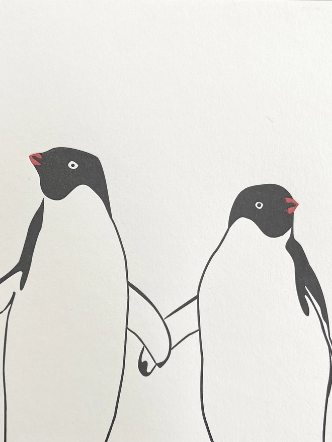Close up of the black and white penguins and their flippers