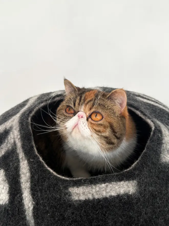 black and white felt cat cave 