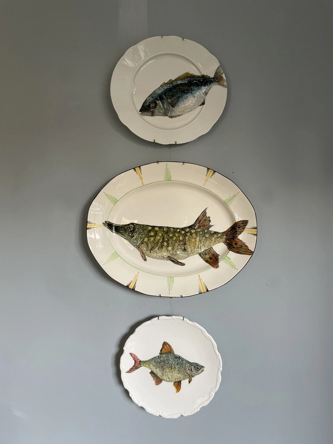 fish plates on wall